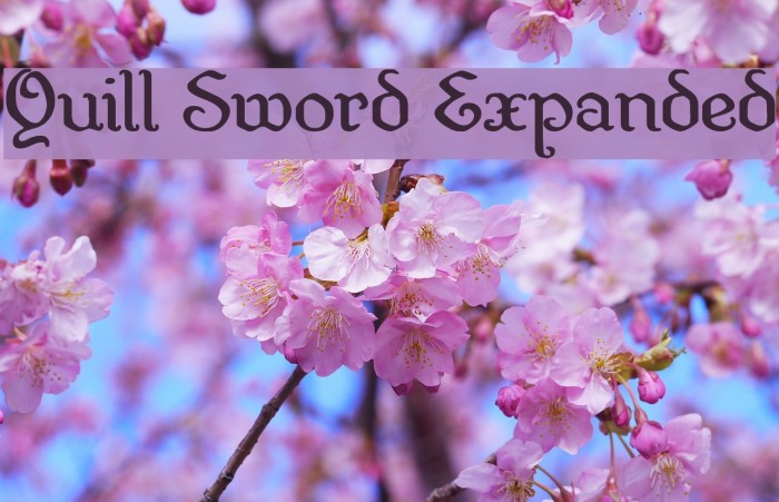 Quill Sword Expanded Font examples