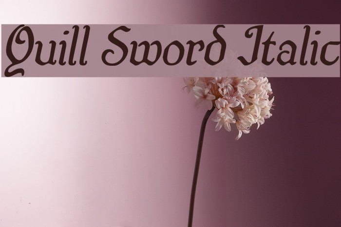Quill Sword Italic Font examples