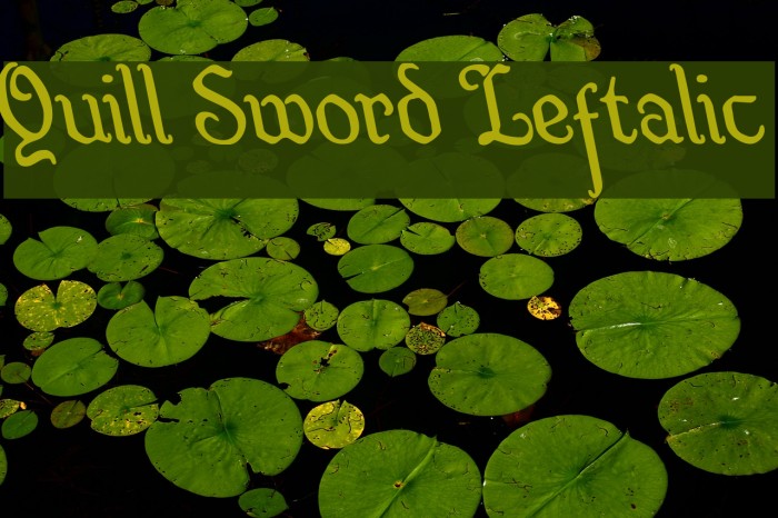 Quill Sword Leftalic Font examples