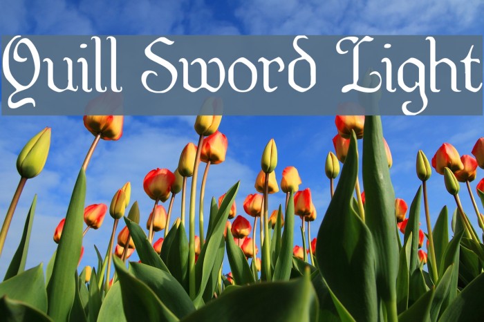Quill Sword Light Font examples