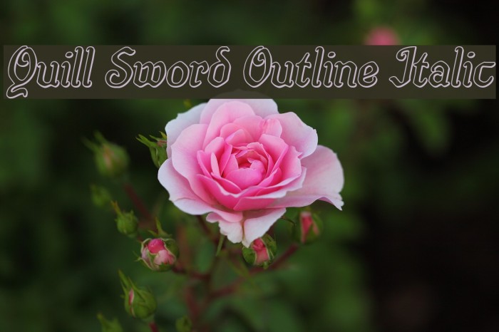 Quill Sword Outline Italic Example 1