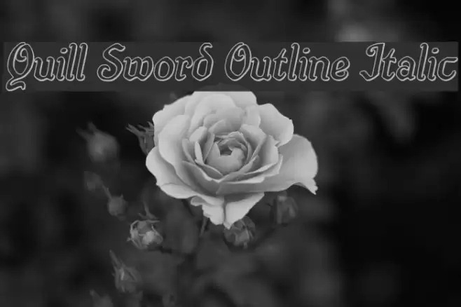 Quill Sword Outline Italic Font examples