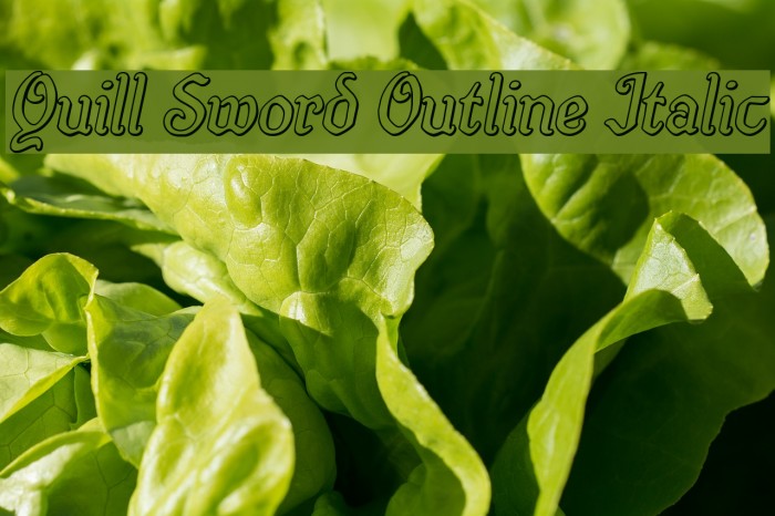 Quill Sword Outline Italic Example 2