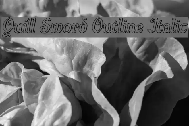 Quill Sword Outline Italic Font examples