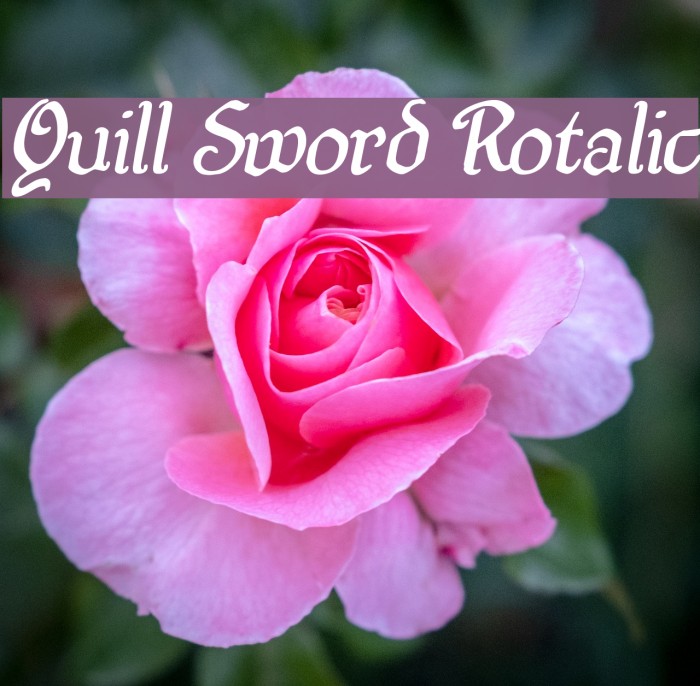 Quill Sword Rotalic Font examples