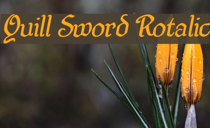 Quill Sword Rotalic Font examples