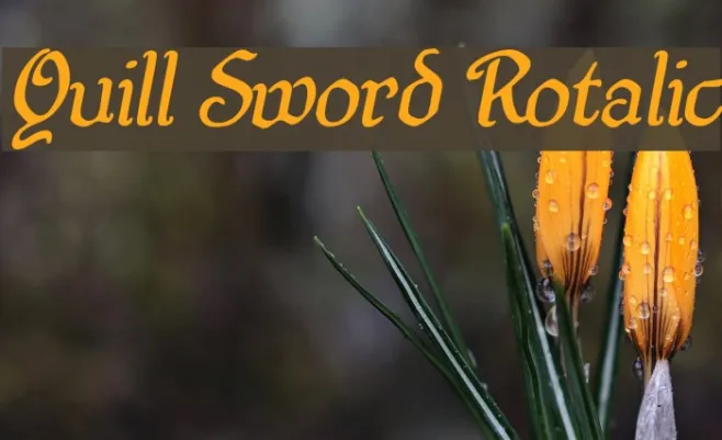 Quill Sword Rotalic Example 2