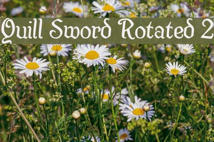 Quill Sword Rotated 2 Font examples