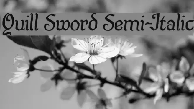 Quill Sword Semi-Italic Font examples