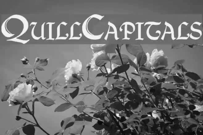 QuillCapitals Font examples