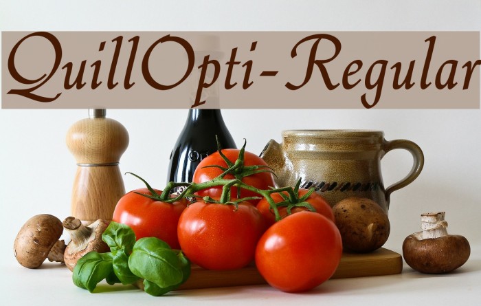 QuillOpti-Regular Font examples