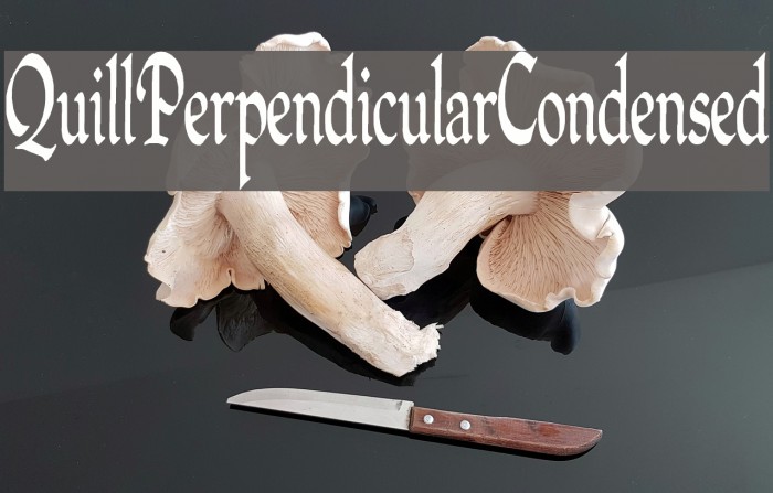 QuillPerpendicularCondensed Font examples