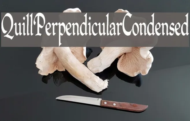 QuillPerpendicularCondensed Example 3