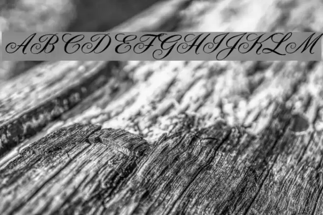 Quill Font examples