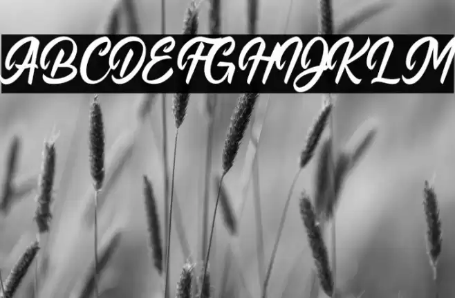 Quillain Font examples