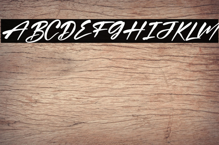 Quillajas Script Italic Example 1