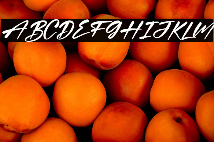 Quillajas Script Italic Example 3