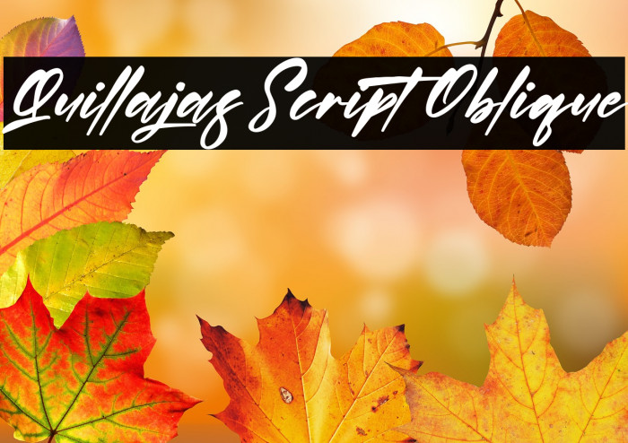 Quillajas Script Oblique Example 2