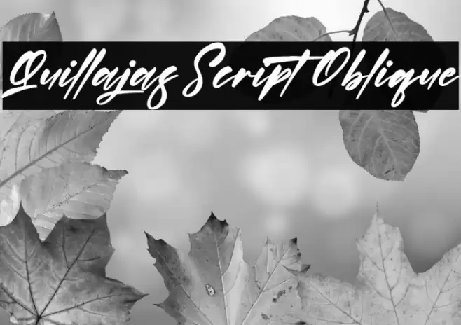 Quillajas Script Oblique Font examples