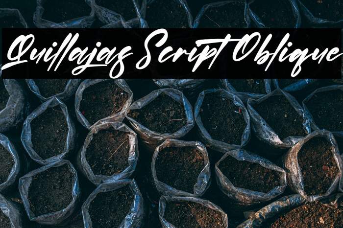 Quillajas Script Oblique Example 3