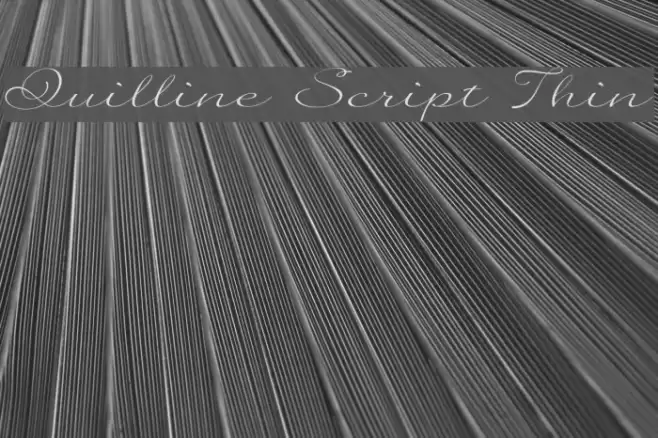 Quilline Script Thin फ़ॉन्ट examples