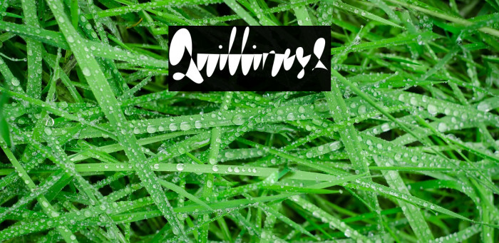 Quillines2 Example 1