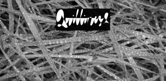 Quillines2 Font examples