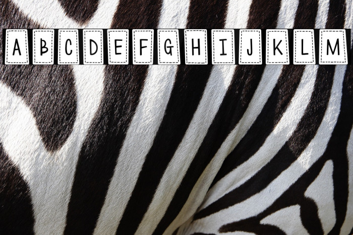 Quilt*Patches Example 1