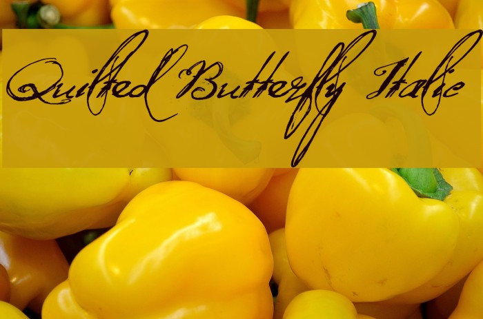 Quilted Butterfly Italic Font examples