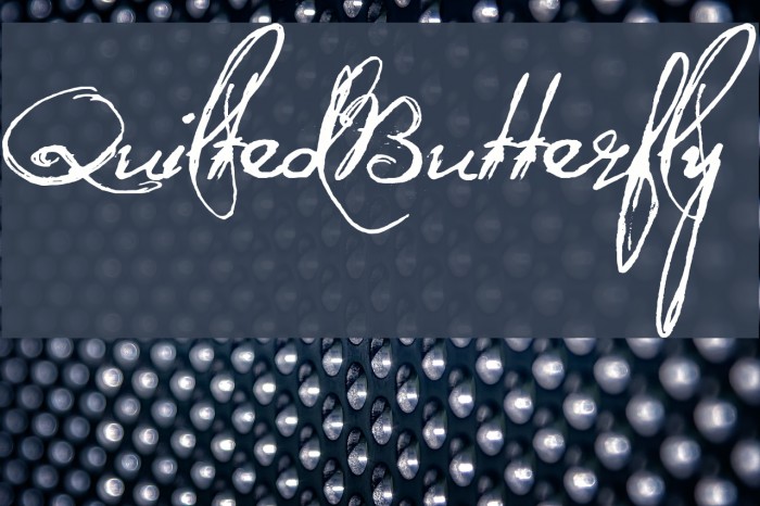 QuiltedButterfly Schriftart examples