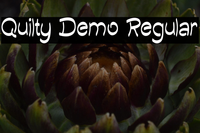 Quilty Demo Regular Example 1