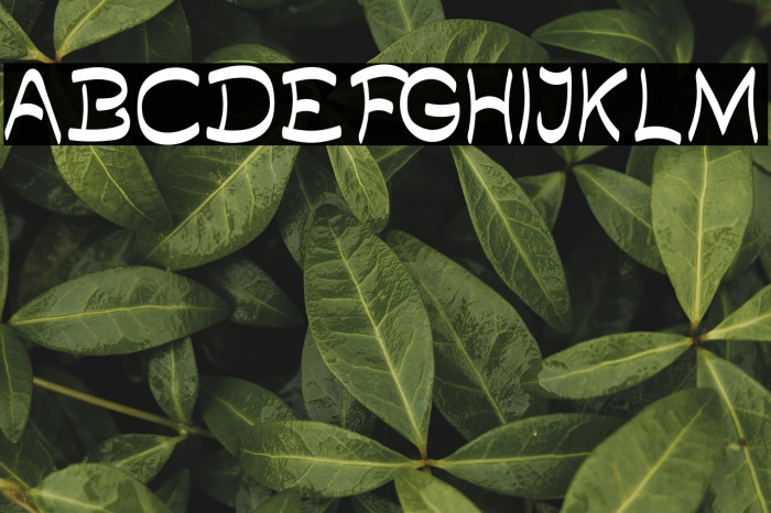 Quilty Demo Example 1