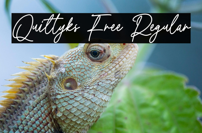 Quiltyks Free Regular Example 1