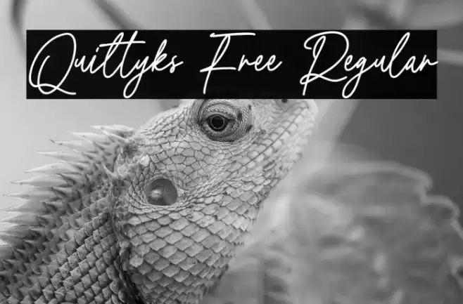 Quiltyks Free Regular 字体 examples