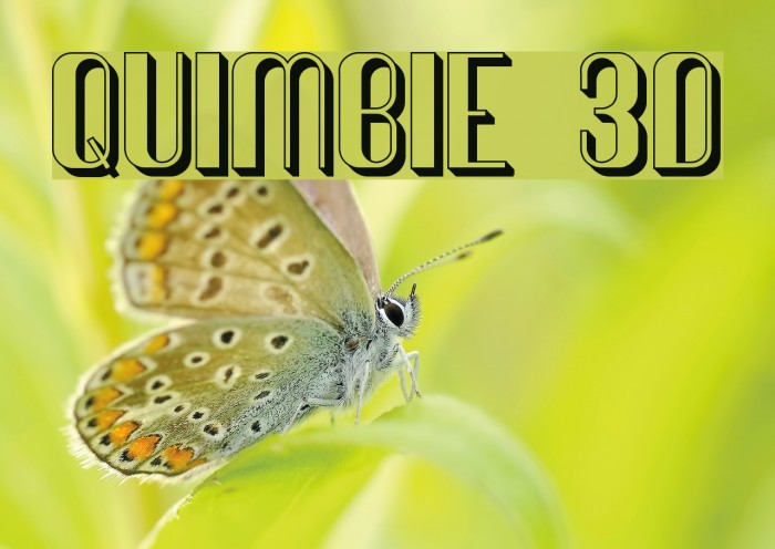 Quimbie 3D Font examples