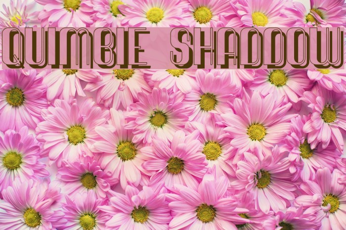 Quimbie Shaddow Font examples