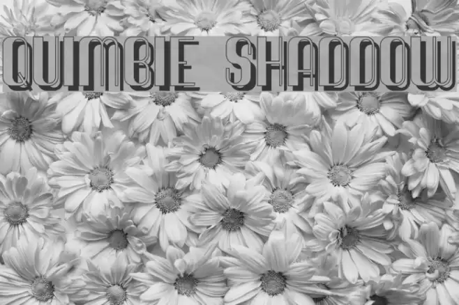 Quimbie Shaddow Schriftart examples