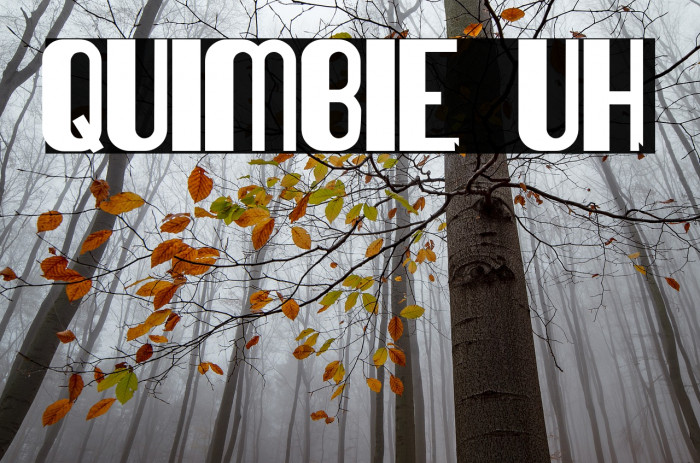 Quimbie UH Font examples