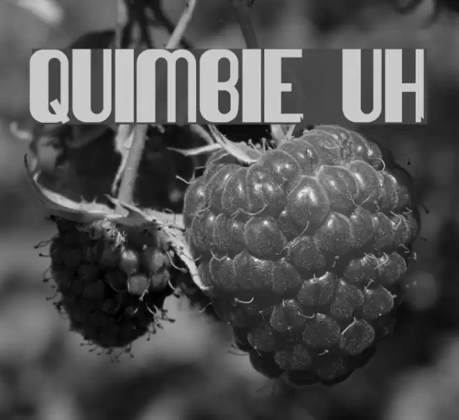 Quimbie UH Font examples