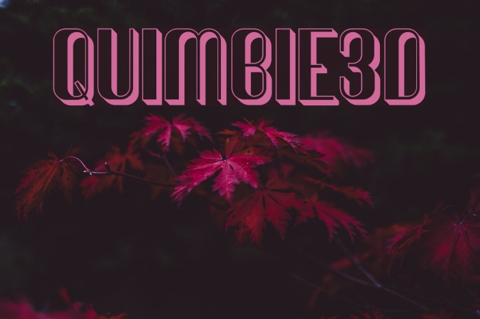 Quimbie3D Font examples