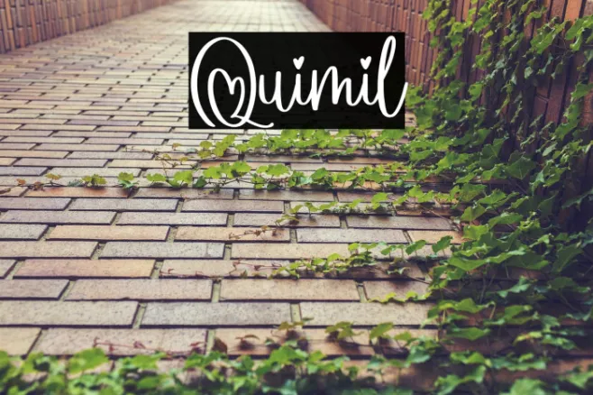 Quimil Example 1