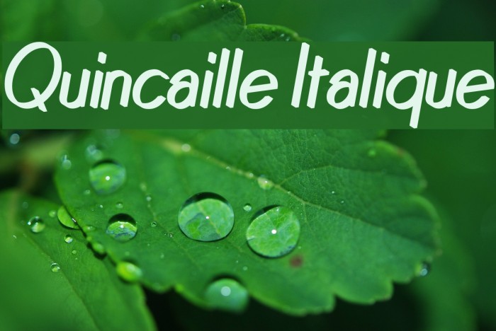 Quincaille Italique Font examples