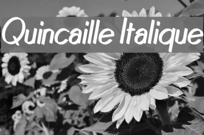 Quincaille Italique Font examples
