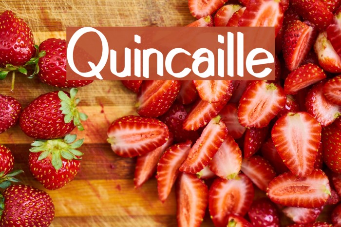 Quincaille Font examples
