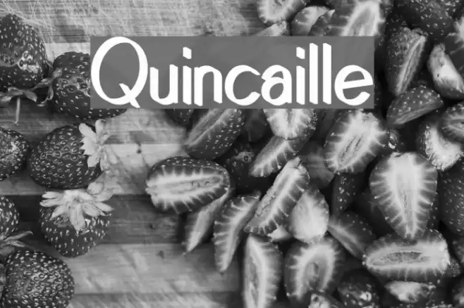 Quincaille Font examples