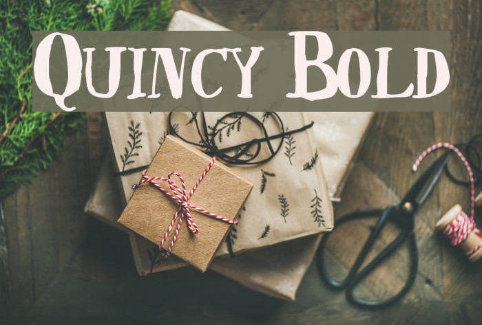 Quincy Bold Example 2
