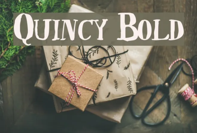 Quincy Bold Example 2