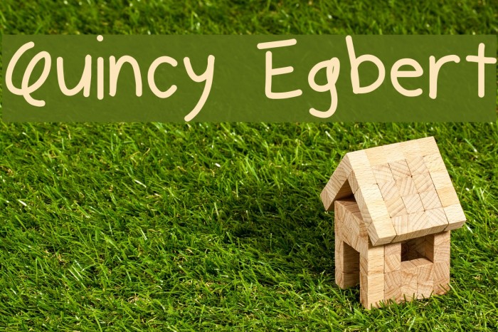 Quincy Egbert Font examples