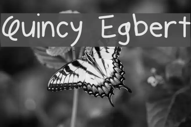 Quincy Egbert Font examples