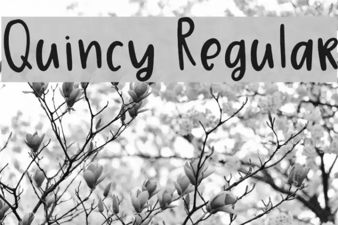 Quincy Regular Font examples